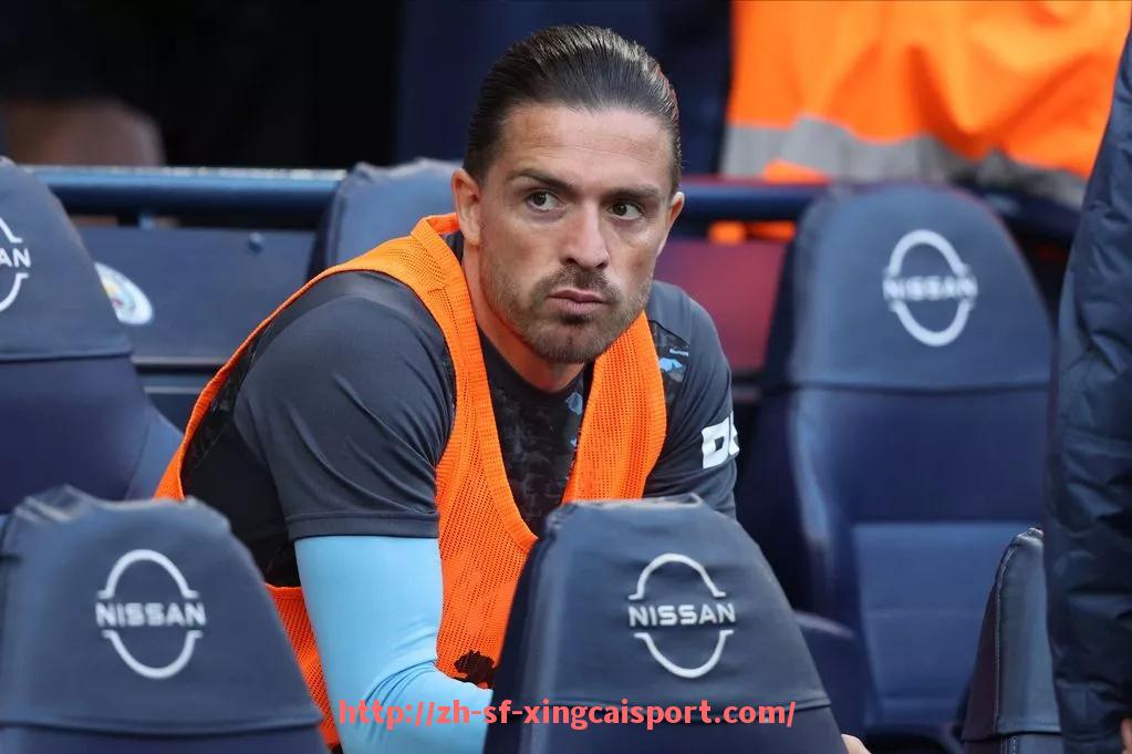 杏彩体育-英超曼彻斯特城市球队球员高清图片