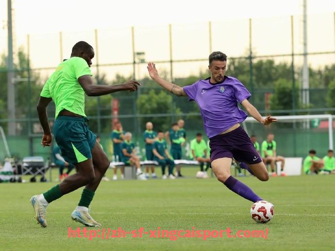 杏彩体育-2025世俱杯赛事最新数据更新与技术统计每日汇总