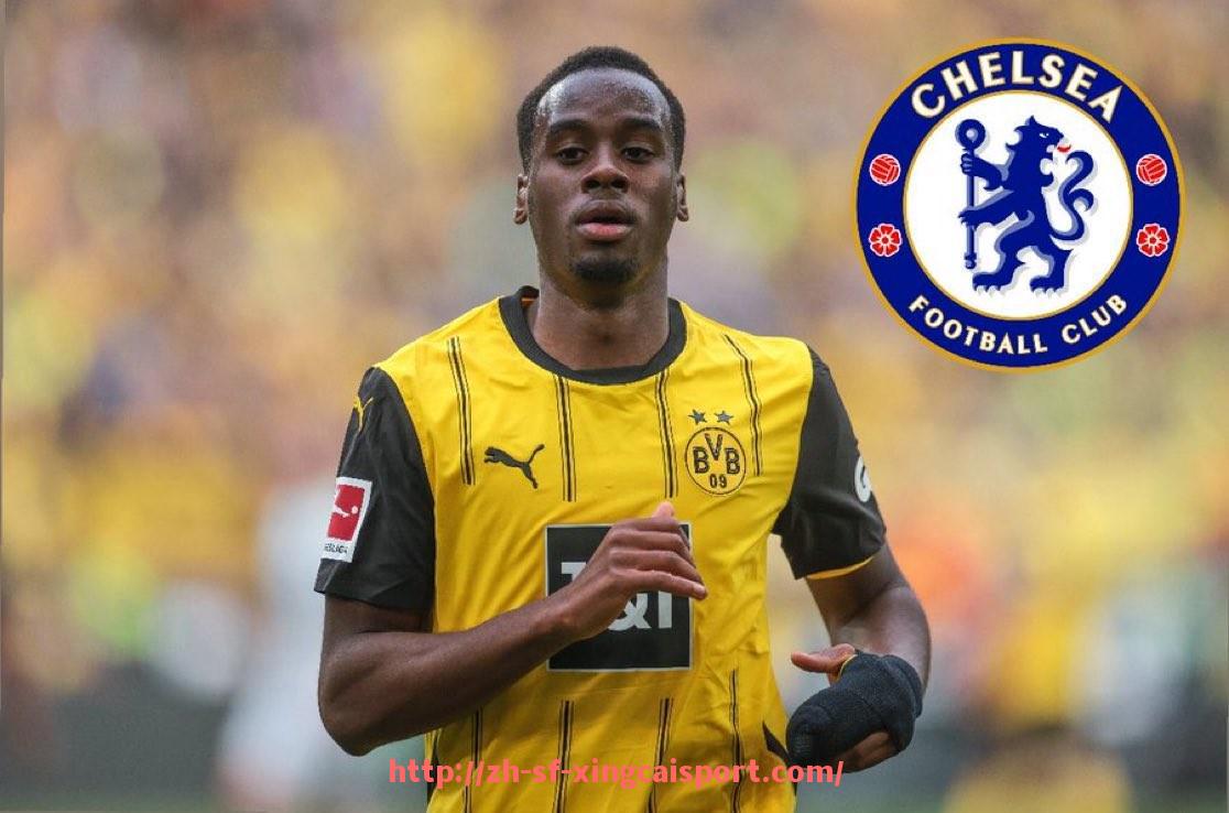 杏彩体育-不同健身器材的正确健身方式操作指南