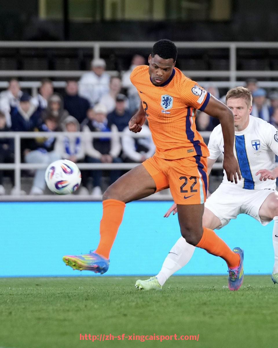 杏彩体育-2007年NBA火箭队阵容全面分析