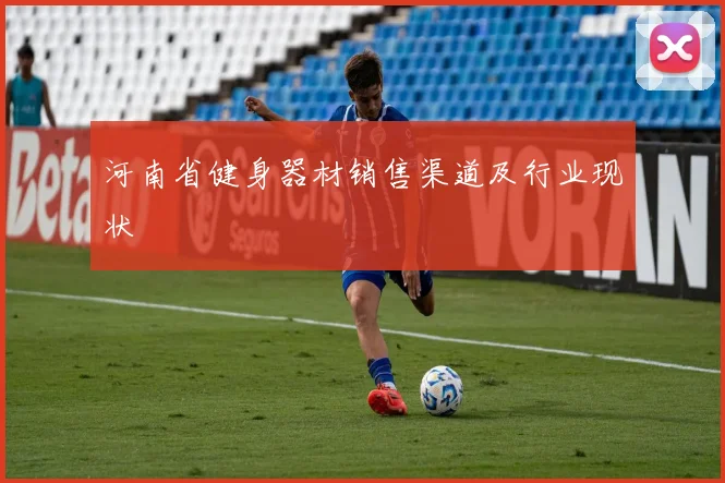 河南省健身器材销售渠道及行业现状