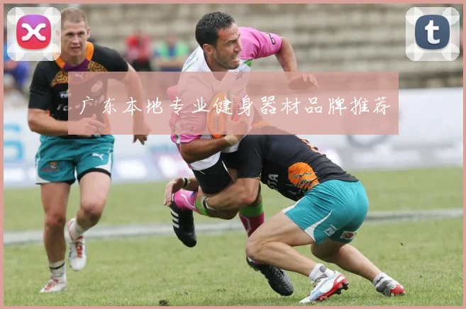 广东本地专业健身器材品牌推荐