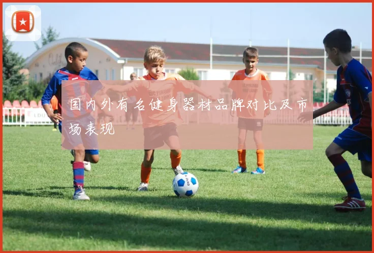 国内外有名健身器材品牌对比及市场表现